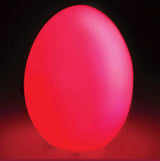 COLOUR CHANGING LIGHT EGG